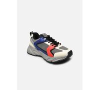 Baskets Steve Madden STANDOUT pour Femme 36 Gris