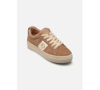 Baskets Tamaris 23724-42 pour Femme 42 Marron