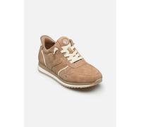 Tamaris Femme Comfort Damen Sneaker Low 8-83735-46 Basket, Camel, 39 EU