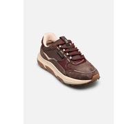 Baskets TBS JAZONNE pour Femme 41 Marron