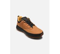 Timberland Euro Trekker Low - Homme Chaussures Wheat 42