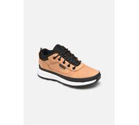 Timberland Baskets montantes enfant FIELD TREKKER LOW in Jaune 38