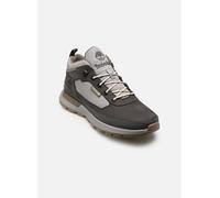 Baskets Timberland FIELD TREKKER pour 44 Gris