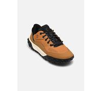 Baskets Timberland GREENSTRIDE MOTION 6 LOW LACE HKR BOOT pour 40 Noir