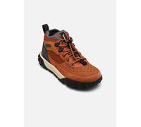 Baskets Timberland GREENSTRIDE MOTION 6 LOW LACE UP HIKING pour Enfant 32 Marron