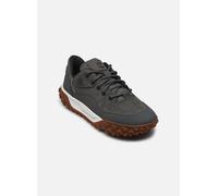 Baskets Timberland GSM6 LOW LACE HKR MDGRY pour 40 Gris