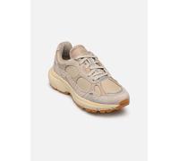Baskets Timberland Hazel Lane Low pour Femme 38 Beige