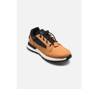 Baskets Timberland Killington TrekkerLOW LACE SNEAKER pour 31 Marron