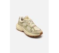 Timberland - Women's Hazel Lane Low Lace Up Sneaker - Baskets - EU 39 - light beige mesh / light green