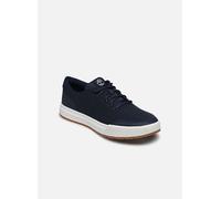 Baskets Timberland Maple Grove Knit Ox pour Homme 40 Bleu