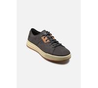 Baskets Timberland MAPLE GROVE pour 41 Gris