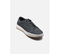 Baskets Timberland Maple GroveLOW LACE SNEAKER pour 41 Bleu
