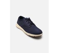 Baskets Timberland PARKER STREET pour 44 Bleu