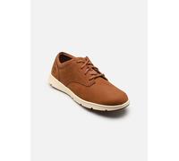 Baskets Timberland PARKER STREET pour Homme 45 Marron