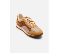 Timberland Baskets Scout Heights Low à lacets beige orange Taille 42