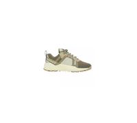 Baskets TIMBERLAND SOLAR WAVE LT LOW LT 40