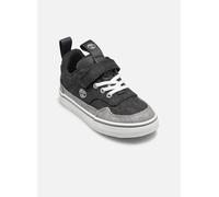 Baskets Timberland STONE JUMP LOW HOOK & LOOP SNEAKER B pour Enfant 24 Gris