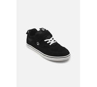 Timberland Stone Jump Low Trainers Noir EU 37 Enfants