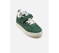 Baskets Timberland Stone Jump Low Hook & Loop Sneaker pour Enfant 26 Vert