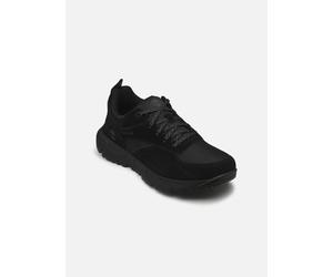 Baskets Timberland VOYP LOW LACE SNEAKER WHEAT pour 40 Noir