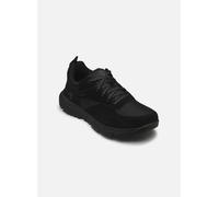 Baskets Timberland VOYP LOW LACE SNEAKER WHEAT pour 42 Noir