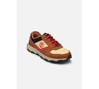 Baskets Timberland Winsor Park Ox pour Homme 40 Marron