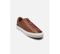 Baskets Tommy Hilfiger PREMIUM DRESS CUPSOLE pour Homme 45 Marron