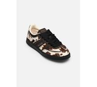 Baskets Tommy Hilfiger THE GREENWICH EDGE C pour Femme 40 Marron
