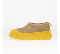 Baskets UGG M Tasman Weather Hybrid Mustard Seed/ Summer Wheat EUR 43