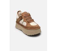 Baskets UGG W Astromel pour Femme 41 Marron