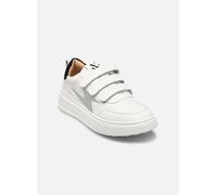 Baskets Vanessa Wu BK2673 pour Homme 37 Beige