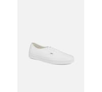 Baskets Vans Authentic M pour Homme 45 Blanc
