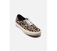 Baskets Vans Authentic pour 36 Marron