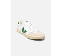 Veja VOLLEY CANVAS men Lowtop white taille: 43