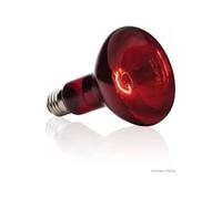 BASKING SPOT lampe infra 75 W Rouge