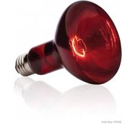 BASKING SPOT lampe infrarouge 75 W