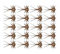 Bass Fly Fishing Lures - Fly Fishing For Trout Soft Baits | Trout Lure Bait | Assortment | Tying Realistic 20x | Nymph Body Components For, Bass