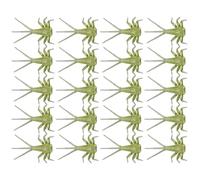 Bass Fly Fishing Lures Fly Fishing Lures pour truite - Fly Binding Realistic 20 x - Appâts de pêche à la truite attachés à la main, composants du corps nymphoïde, kit de pêche à la mouche réaliste