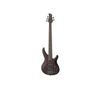 Trbx505 Trans Brown