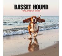 Basset Hound 2026 Calendar: Droopy-Eared Charm • Dated Monthly Grid • U.S. Holidays Included • Glossy Softcover 8.5x8.5 in