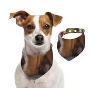 Basset Hound,Bandanas pour Chien, écharpe en Coton, Bavoirs réglables pour Animaux de Compagnie,M