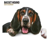 Basset Hound Calendrier 2024 moderne