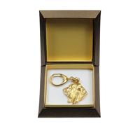 Basset Hound I - Porte-clés Dore Chien Plaque Avec Boîte Cadeau