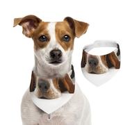 Basset Hound isolé,Bandanas pour Chien, écharpe en Coton, Bavoirs réglables pour Animaux de Compagnie,S
