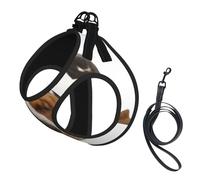 Basset Hound isolé,Harnais pour Animaux de Compagnie, Harnais réfléchissant réglable pour Chien,L
