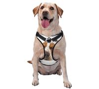 Basset Hound isolé,Harnais pour Animaux de Compagnie, Harnais réfléchissant réglable pour Chien,M