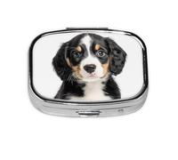 Basset Hound Mini pilulier carré en métal pour médicaments de voyage 2 compartiments de poche Petit étui de rangement portable