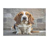 Basset Hound - Petit tapis lavable avec envers en caoutchouc antidérapant pour cuisine, chambre à coucher, salle de bain, décoration de sol