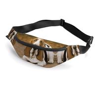 Basset Hound Sac banane pour homme et femme Sac banane pour homme Sac banane de course à pied Petit sac banane pour femme, style, 36 x 15 cm, Style :, 36*15cm