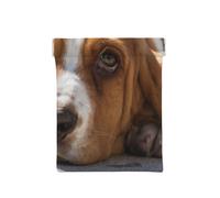 Basset Hound, Sac de Rangement pour Femmes, Portefeuille supérieur à Presser, Petit Porte-Monnaie, Pochette de Changement